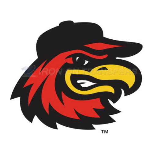 Rochester Red Wings Iron-on Stickers (Heat Transfers)NO.8009